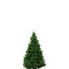 Traditional Christmas Trees London - Chelsea, Fulham, Putney, Wandsworth, Hammersmith 2023 - London