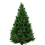 Traditional Christmas Trees London - Chelsea, Fulham, Putney, Wandsworth, Hammersmith 2023 - London