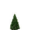 Natural Christmas Trees - Free Delivery