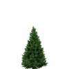 Natural Christmas Trees - Free Delivery