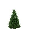 Natural Christmas Trees - Free Delivery