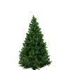 Natural Christmas Trees - Free Delivery